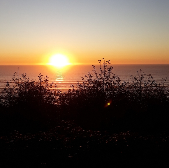 Meet your Posher, Amy - Picture 7 of 8